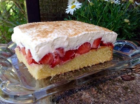 Der blechkuchen reicht für fast jeden kindergeburtstag und ist schnell und einfach gemacht. Erdbeer- Fanta- Kuchen - Aus meinem Kuchen und Tortenblog ...