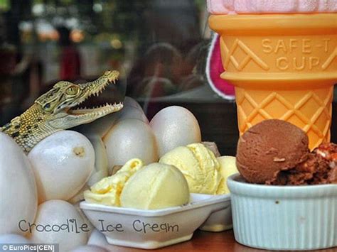 8 Craziest Ice Cream Flavours The Best Of Deserts Snaptok