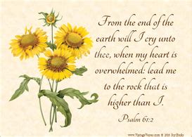 Below are examples of the symbolisms and meanings of the flower, and how in this verse, the bible talks about the flowers as decorations. The Psalms in Florals