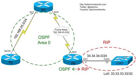 Understanding Ospf Type Lsas Astorino Networks