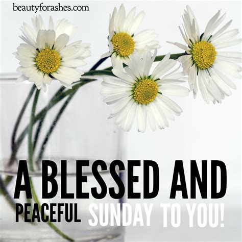 A Blessed And Peaceful Sunday To You Pictures Photos And Images For
