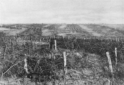 World War I Barbed Wire Nbarbed Wire On A Battlefield On The Western