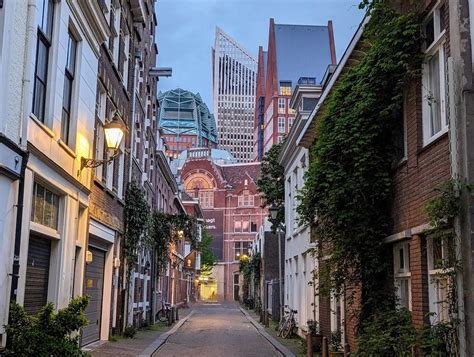 11 Fun Things To Do In The Hague On A Workcation In The Netherlands