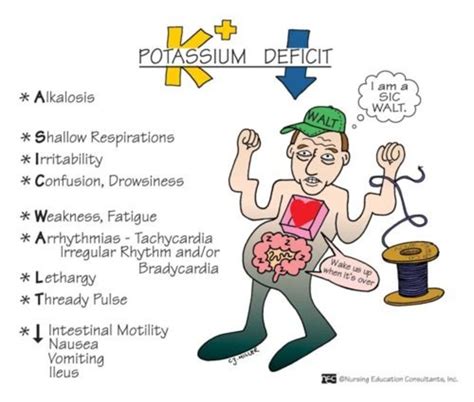 how to recognize the signs and symptoms of low potassium hypokalemia hubpages