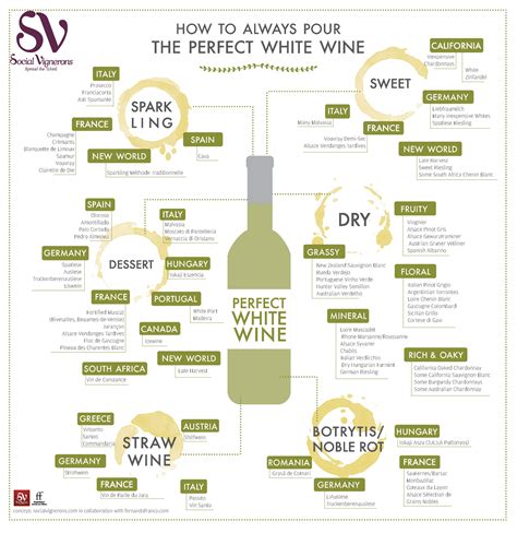 My favourites are the wines of sauternes in the bordeaux region of france. How to Always Pour the Perfect White Wine? - Social Vignerons