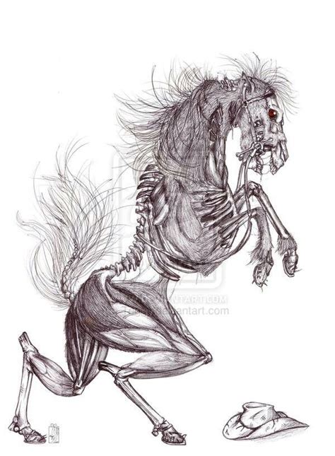 Skeleton Horse Tattoo Shop Pinterest Horses Drawings And Art