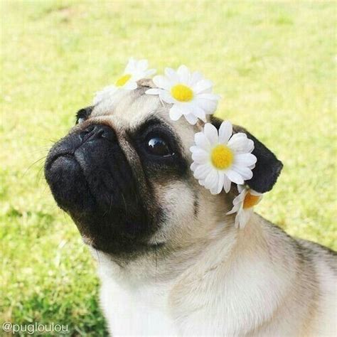 This Pretty Princess Is Ready For Festival Season In Her Floral Crown