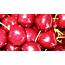 Download Wallpaper 1920x1080 Cherry Red Brilliant Bright Ripe Full 