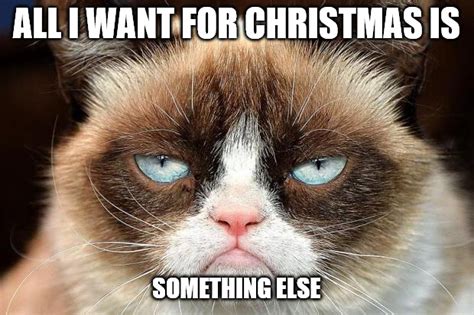 24 Cat Memes Christmas Factory Memes