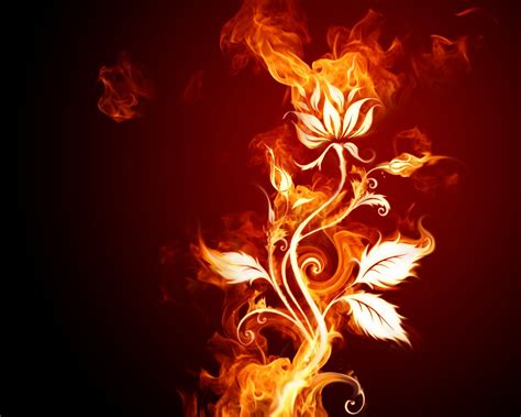 Fire flower is the rare fire variant of the sunflower from plants vs. Wallpapers Photos Images: New Fire Flower