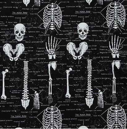 Dark Skeleton Glow Zipper Halloween Cotton