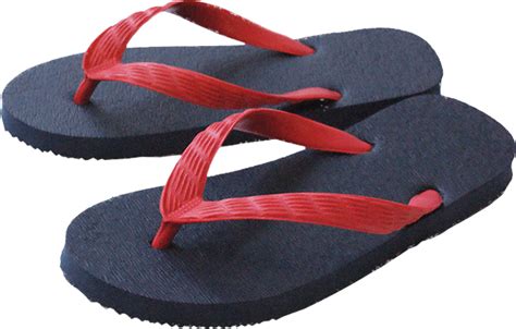 ) the negative aspects of an idea , plan , or situation: Flip-flops PNG