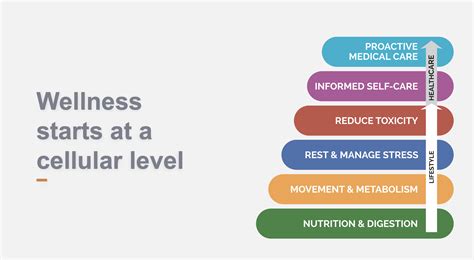 Metapwr Review With Doterra Supporting Metabolic Health Naturally