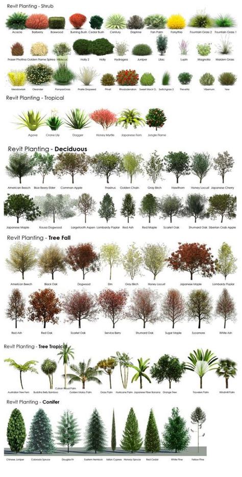 A Guide To Help Choose Shrubs Plants And Trees For Landscaping Pictures