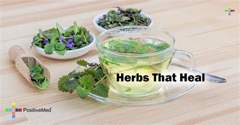 Herbs That Heal PositiveMed