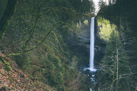 On Chasing Waterfalls — Tim Kauger