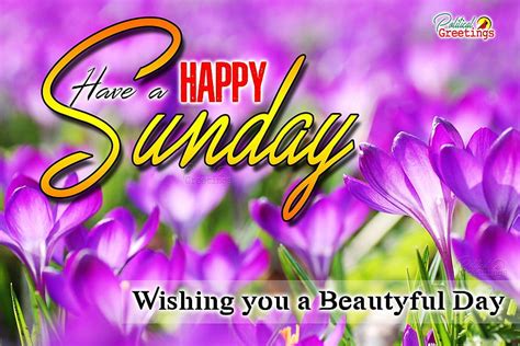 Have A Happy Sunday Quotes Wishes Greetings Hd Wallpaper Pxfuel