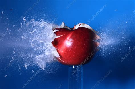 Bullet Hitting An Apple Stock Image C0221994 Science Photo Library
