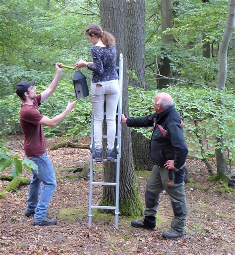 Einfamilienhaus in bad ems zu vermieten. Bürgerstiftung Bad Ems: Fledermäuse bekommen ein neues Zuhause