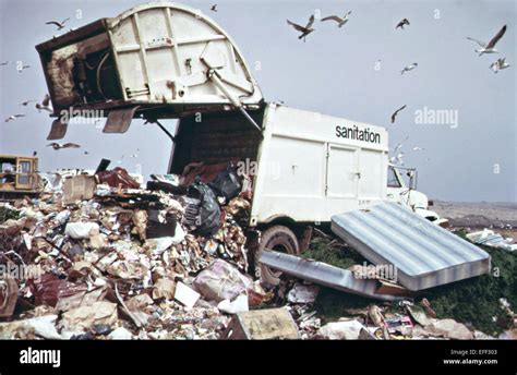 A Garbage Truck Dumps Trash In A Landfill Along The Marshlands Of