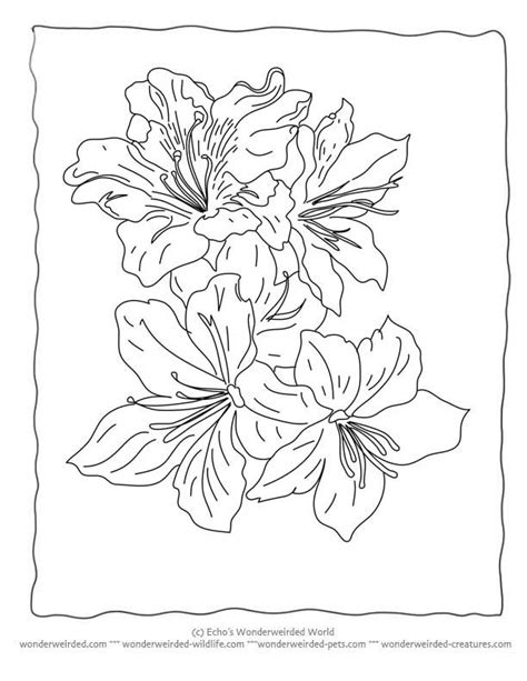 Martin luther king march coloring sheet realistic pages | thingkid. Realistic Flower - Coloring Home
