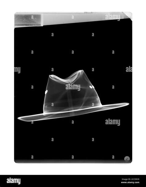 Black And White Fedora Hat Hi Res Stock Photography And Images Alamy