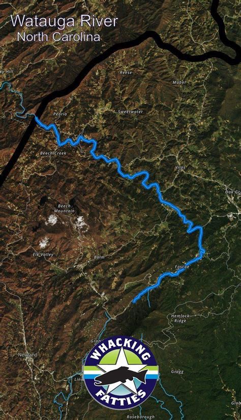 Whether checking the colorado stream flows during your lunch break or figuring out where to go. River Fishing Tips | Fishing report, River fishing, Fly ...