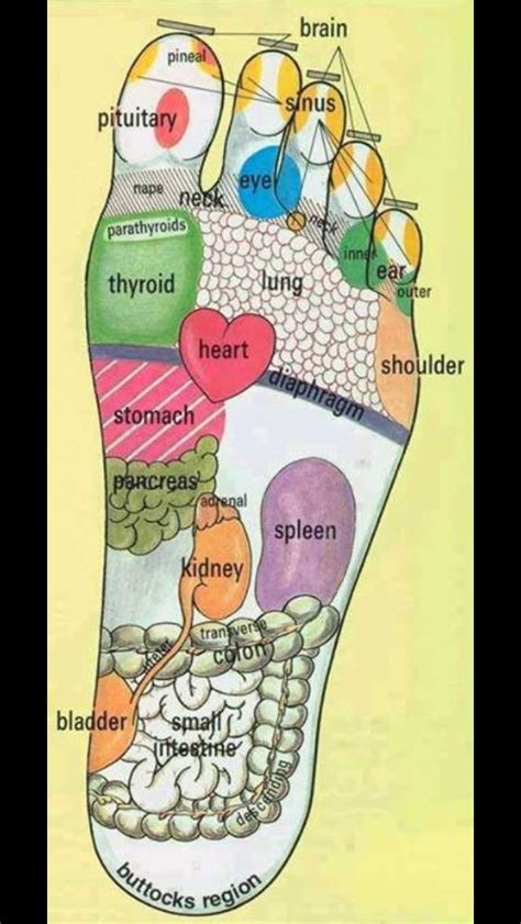 Foot Massage Pressure Points Foot Acupuncture Points Chart Bing Images Acupuncture