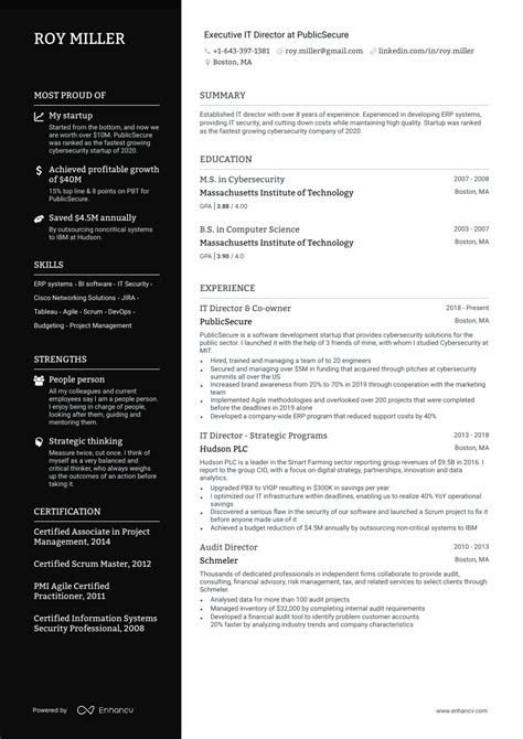 8 It Director Resume Examples And Guide For 2023