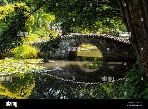 Bridge In Queenstown Gardens On New Zealands South Island Stock Photo