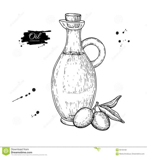 Bottle Of Olive Oil And Olive Branch Vector Hand Drawn Illustration