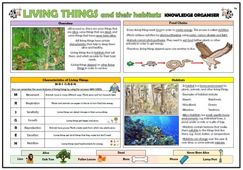 Year 2 Living Things And Their Habitats Knowledge Organiser Teaching