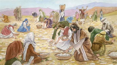 Why The Manna Ceased When The Israelites Entered The Promised Land