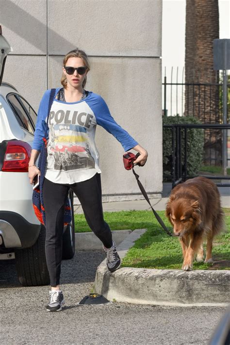Amanda Seyfried And Her Dog Finn Out In Los Angeles 12142016 Hawtcelebs