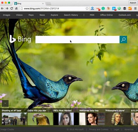 Bing Becomes The Best Search Engine For Programmers Brings Executable