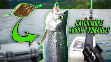 How To Catch Trout And Kokanee Using Dodgers Big Kokanee Caught Youtube