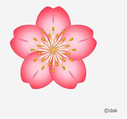 Cherry Blossom Clipart Flower Clip Anime Sakura