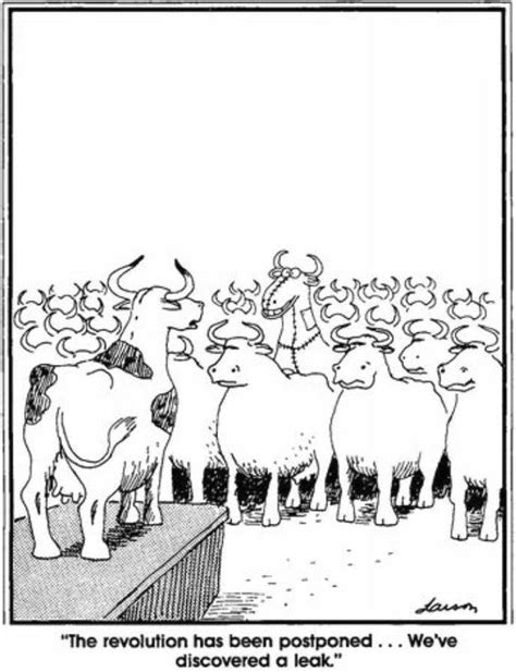 Your Daily Far Side Comics Far Side Humor Far Side Cartoons Far