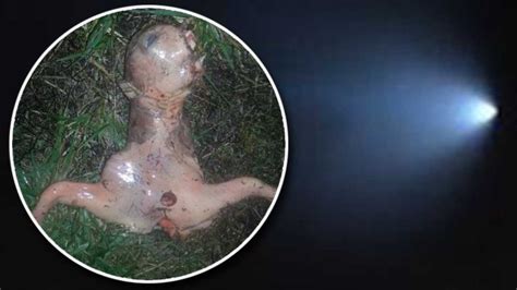 ugly ‘alien is found in san jose california after ufo sighting metro news