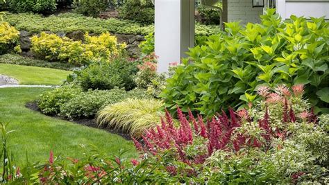 Using Layers To Wow In A Low Water Shade Garden Shade Garden Low