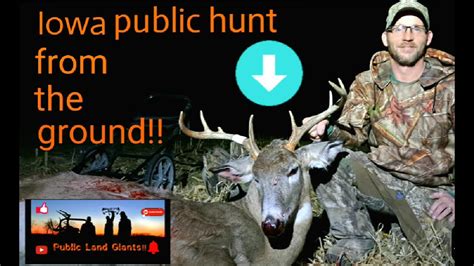 Public Land Iowa Buck From The Ground Giant Buck Encounters Youtube
