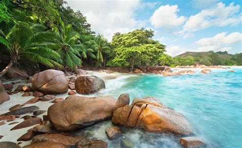 Photography Landscape Nature Beach Island Palm Trees Turquoise Sea Rock Eden