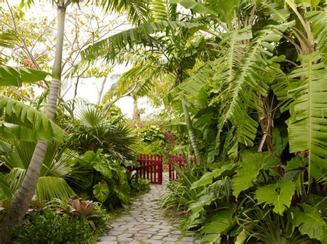 How To Bring Your Subtropical Garden To Life