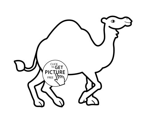 Camel Cartoon Animals Coloring Pages For Kids Printable Free
