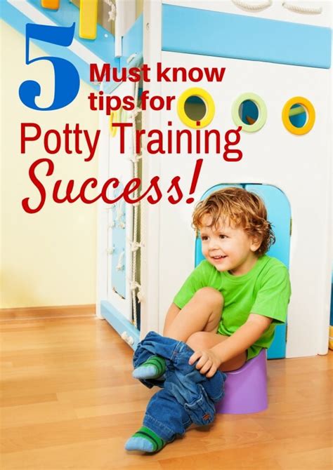Potty Training Tips Serendipity And Spice