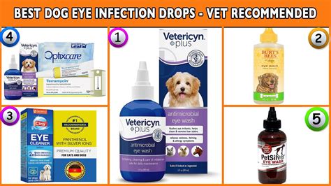 Best Dog Eye Infection Drops Vet Recommended Youtube