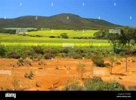 Eyre Mountain Range Hi Res Stock Photography And Images Alamy