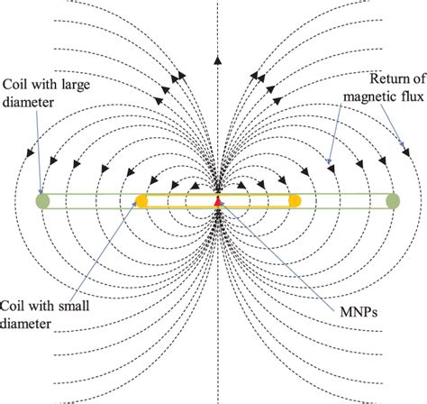 Dependency of captured magnetic flux lines of the MNPs ...