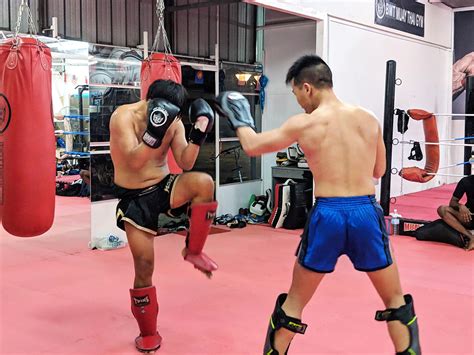 Muay Thai Sparring Training Singapore Muay Thai Singapore