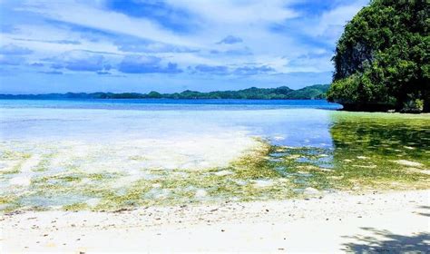 The 12 Best Things To Do In Palau Dont Miss 3 Worldwide Wilbur